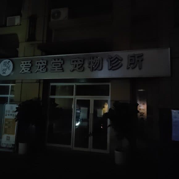 爱宠堂宠物诊所:成都市双流区
