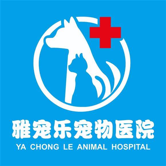 雅宠乐宠物医院:成都市双流区