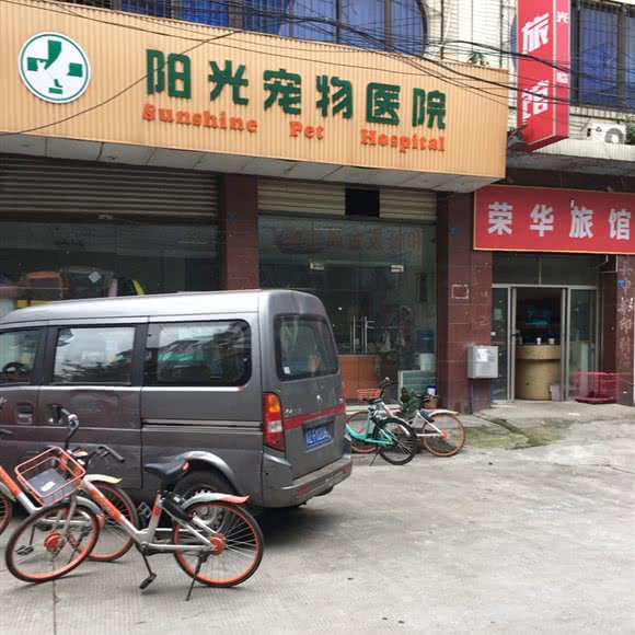 阳光宠物医院:成都市双流区