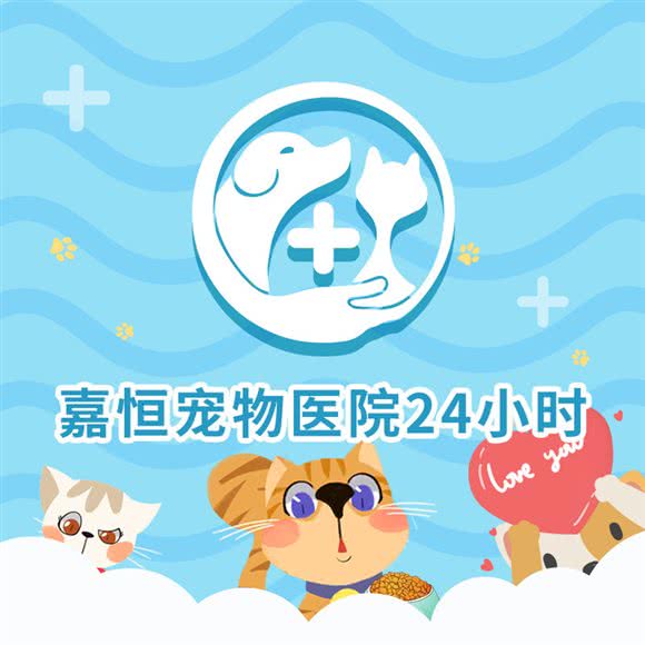 嘉恒宠物医院24小时:成都市双流区