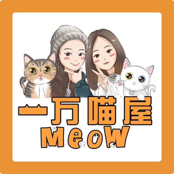 一万喵屋meow猫咪寄养酒店:成都市郫都区