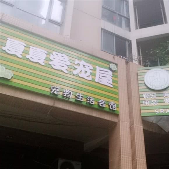 夏夏爱宠屋:成都市郫都区