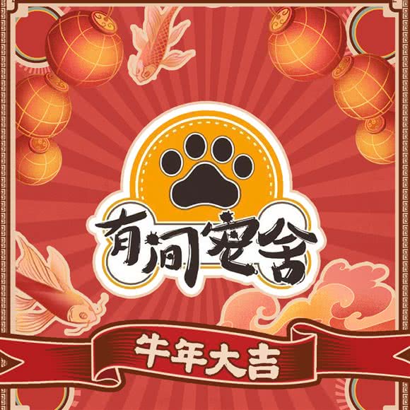 有间宠舍&猫舍:成都市郫都区