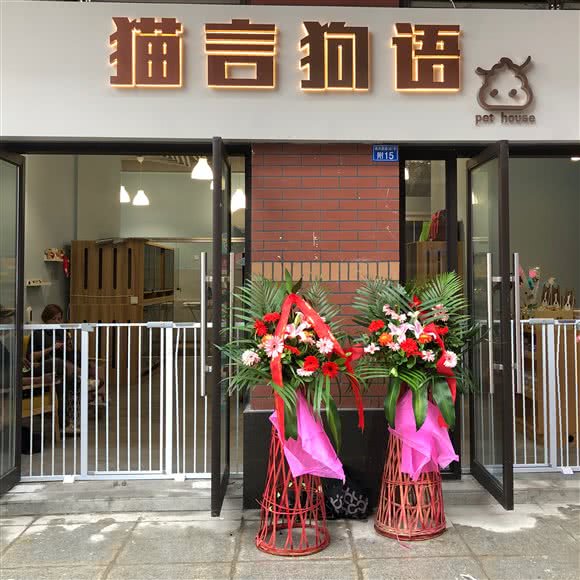 猫言狗语咖啡店:成都市郫都区