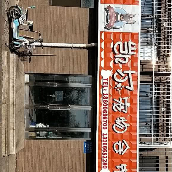凯尔宠物会馆:沈阳市大东区东北大马路附近