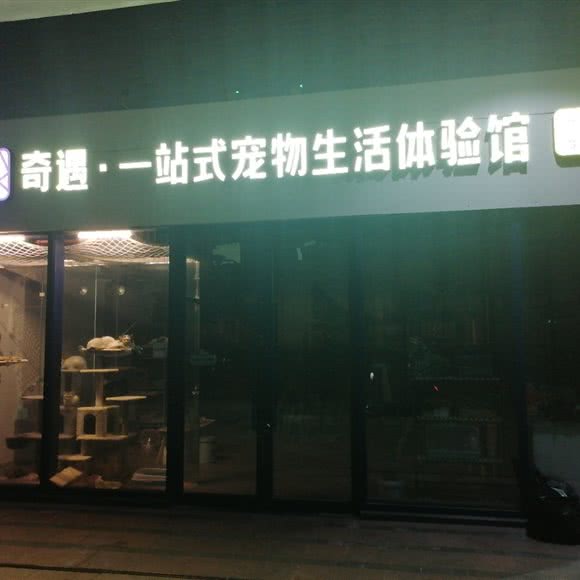 奇遇?一站式宠物生活体验馆:成都市郫都区