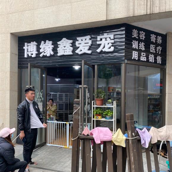 博缘鑫爱宠:成都市郫都区