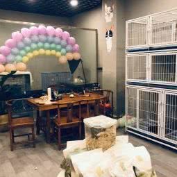 Macaron私宠:成都市郫都区