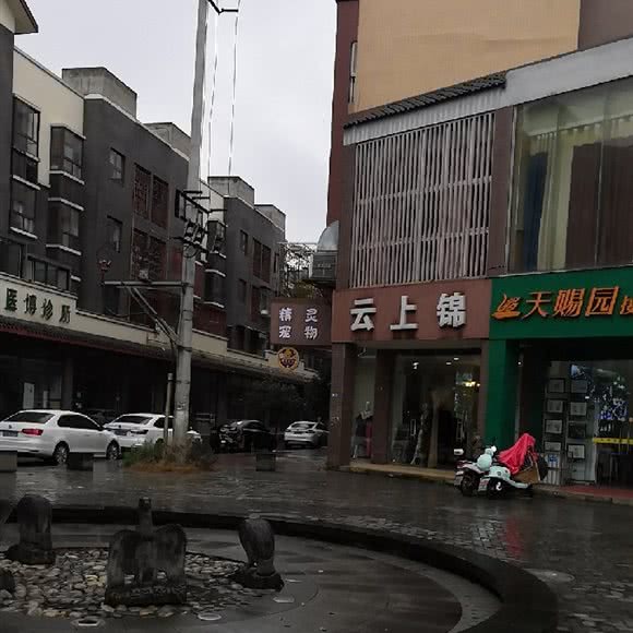 精灵宠物:成都市郫都区