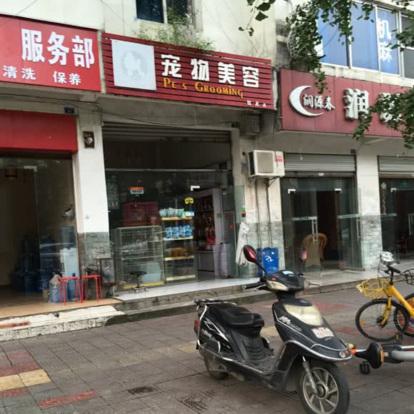 宝仔屋宠物美容(红光店):成都市郫都区