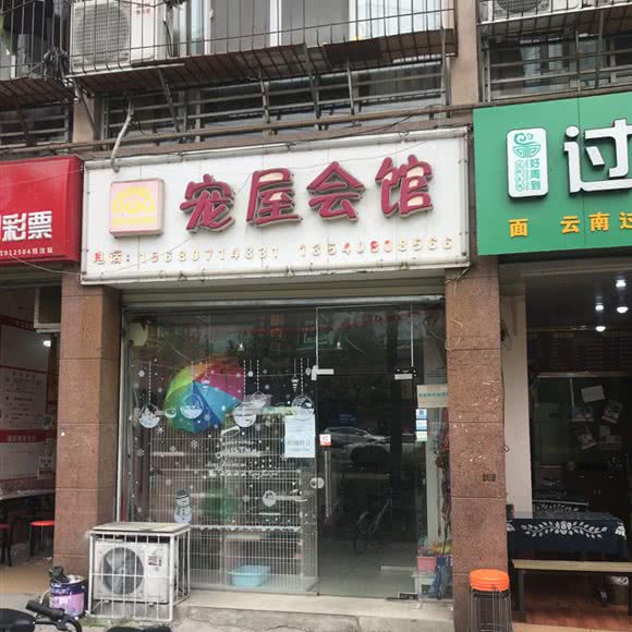 汪吉岛宠物:成都市郫都区