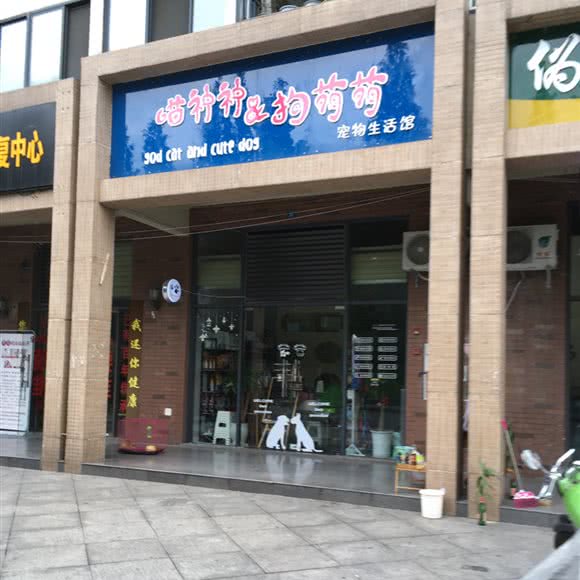 喵神神&狗萌萌宠物生活馆:成都市郫都区