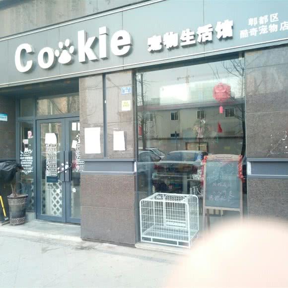 郫都区酷奇宠物店:成都市郫都区