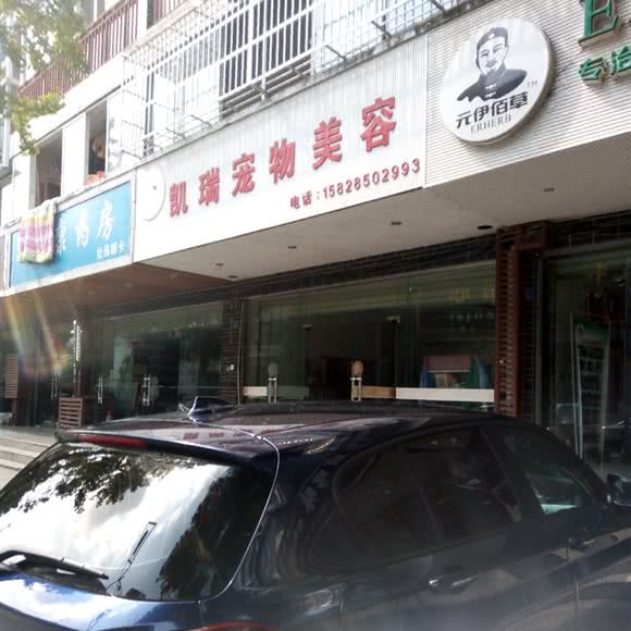 凯瑞宠物美容:成都市郫都区