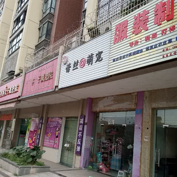 蕾丝萌宠:成都市郫都区