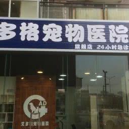 艾多格宠物医院:成都市郫都区