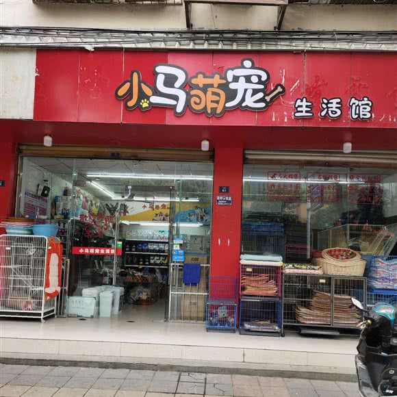 小马萌宠生活館:成都市金堂县