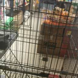 萌犬の屋宠物超市:成都市金堂县