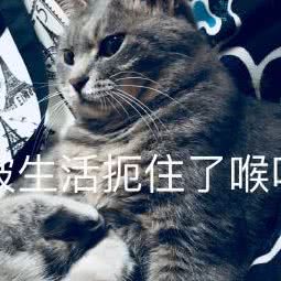 小精灵宠物:成都市大邑县
