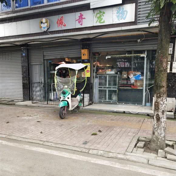 佩奇宠物:成都市大邑县