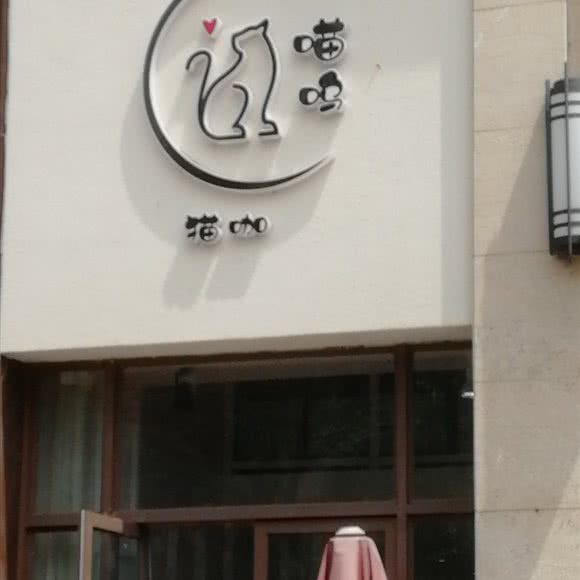 喵呜:成都市蒲江县