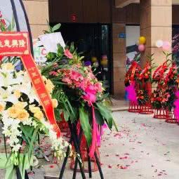 崔西家宠物寄养酒店:成都市都江堰市