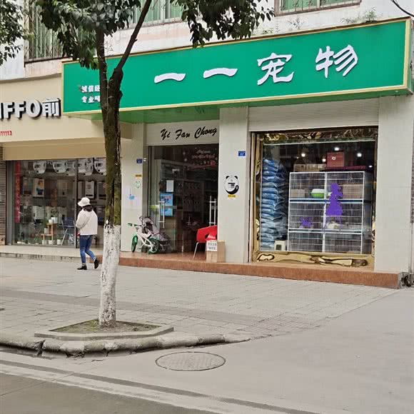 一一宠物:成都市都江堰市