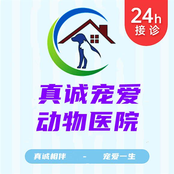 真诚宠爱动物医院(蒲阳路店):成都市都江堰市