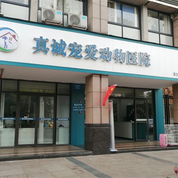 真城宠爱动物医院(都江华府店):成都市都江堰市