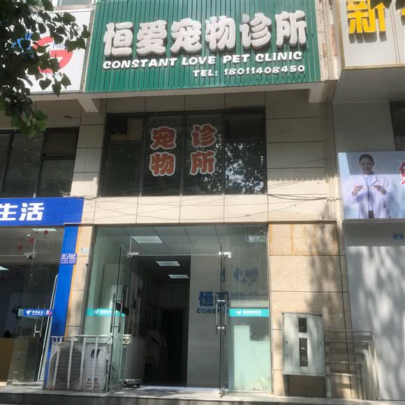 恒爱宠物诊所:成都市彭州市