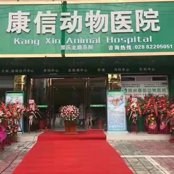 崇州康信动物医院总院:成都市崇州市