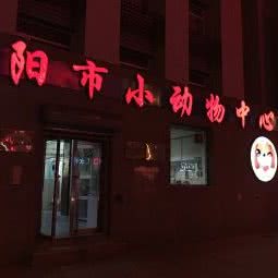 小动物中心医院:沈阳市皇姑区北行/辽大附近