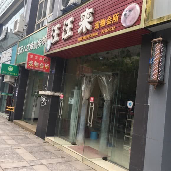 汪汪来宠物会所:成都市简阳市