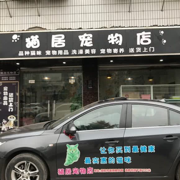 猫居宠物店:成都市简阳市