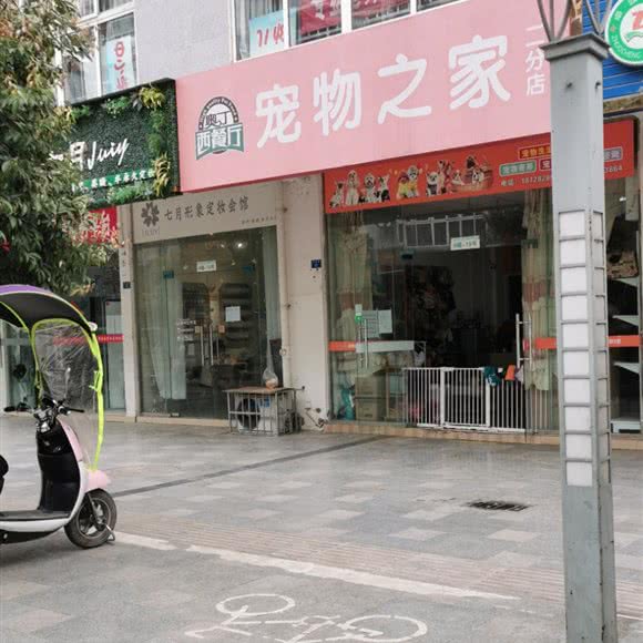 奥丁西餐厅宠物之家:成都市简阳市