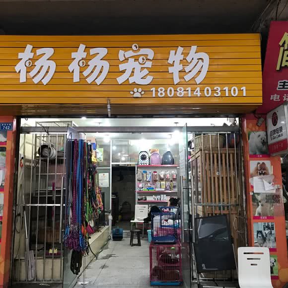 杨杨宠物:成都市简阳市