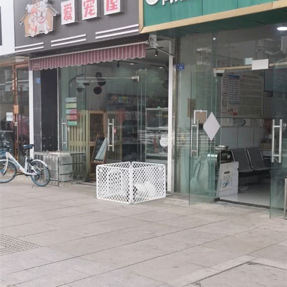 爱宠屋(泛月路店):成都市简阳市