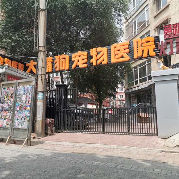 大嘴狗宠物医院:沈阳市皇姑区北行/辽大附近