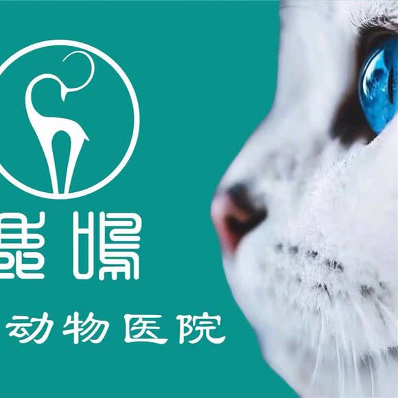 鹿鸣动物医院:成都市简阳市