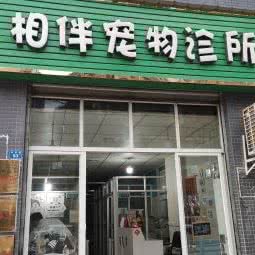 相伴宠物诊所:成都市简阳市