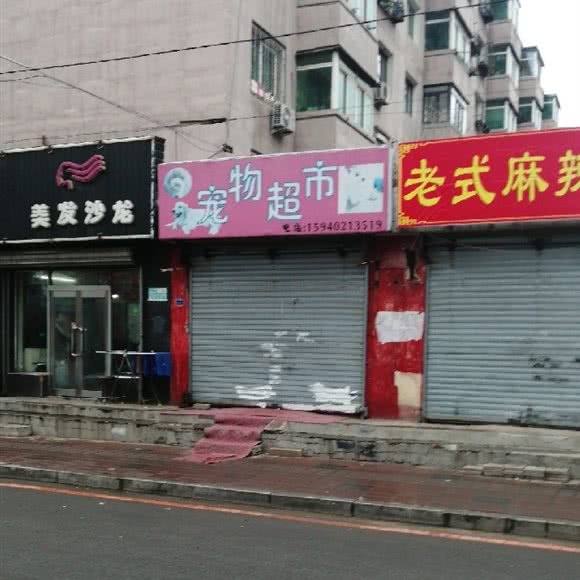 奇缘宠物俱乐部:沈阳市皇姑区小白楼附近