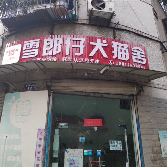 雪郎仔犬猫舍:泸州市江阳区