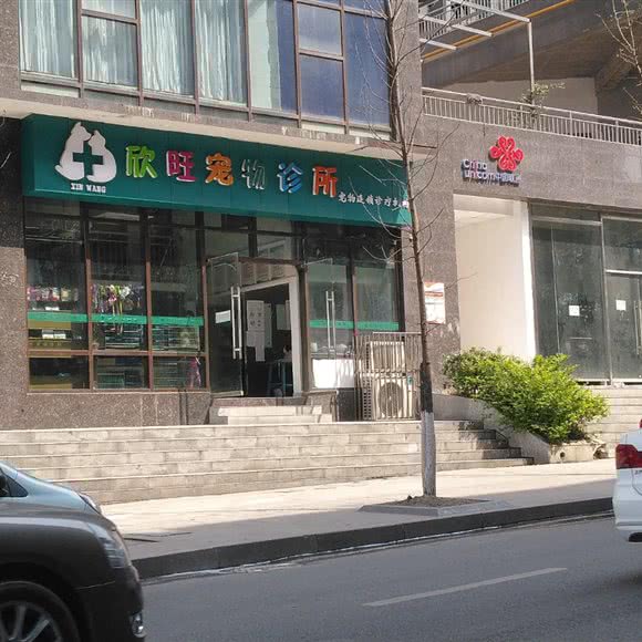 欣旺宠物诊所(纳溪风凰城店):泸州市纳溪区