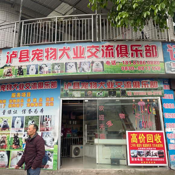 泸县宠物犬业交流俱乐部:泸州市泸县