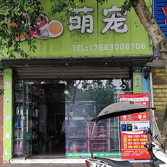 520萌宠:泸州市合江县