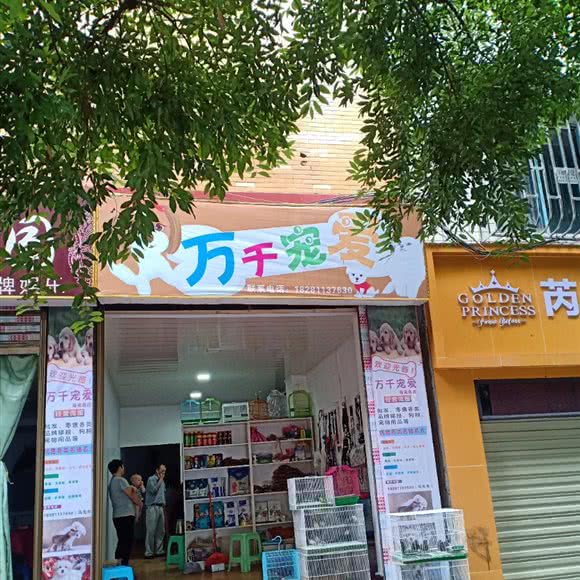 万千宠爱:泸州市合江县
