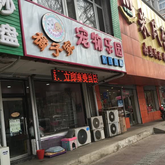橘子家宠物乐园:沈阳市皇姑区三台子附近