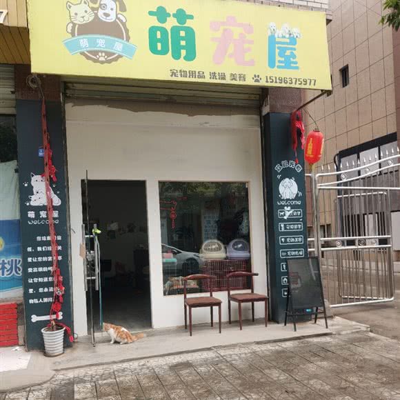 萌宠屋:德阳市旌阳区