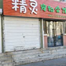 精灵宠物会馆:沈阳市皇姑区三台子附近