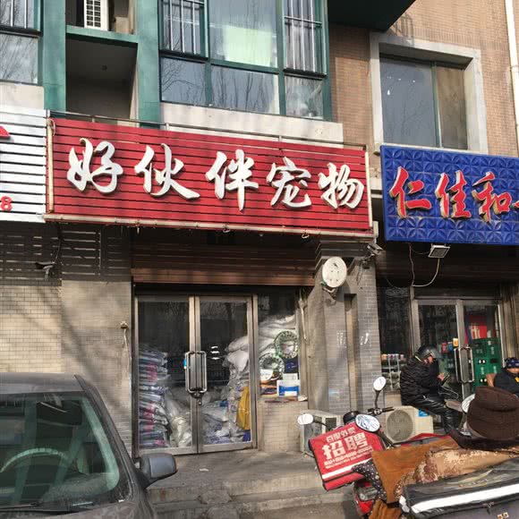 好伙伴宠物美容培训:沈阳市皇姑区三台子附近